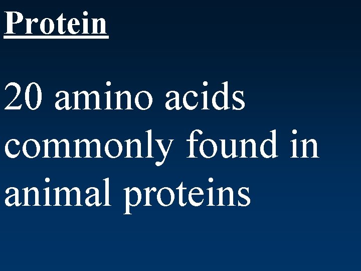Protein 20 amino acids commonly found in animal proteins 