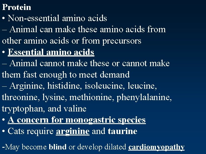 Protein • Non-essential amino acids – Animal can make these amino acids from other
