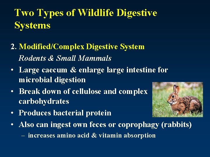 Two Types of Wildlife Digestive Systems 2. Modified/Complex Digestive System Rodents & Small Mammals