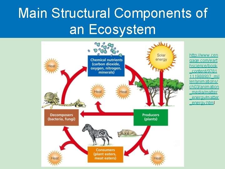 Main Structural Components of an Ecosystem http: //www. cen gage. com/eart hscience/book _content/9781 111988937_mil