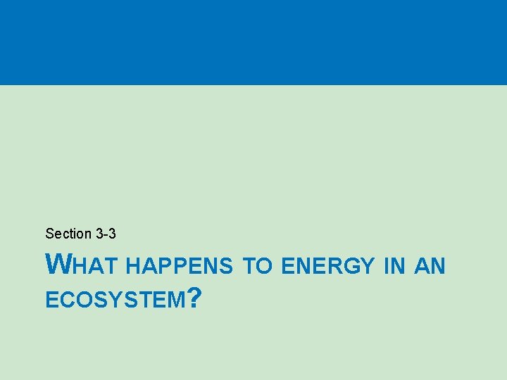 Section 3 -3 WHAT HAPPENS TO ENERGY IN AN ECOSYSTEM? 