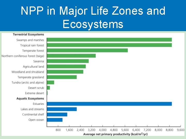 NPP in Major Life Zones and Ecosystems 