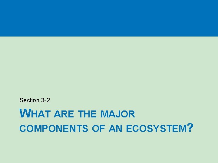 Section 3 -2 WHAT ARE THE MAJOR COMPONENTS OF AN ECOSYSTEM? 