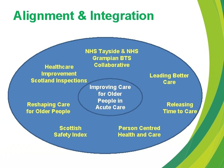 Alignment & Integration NHS Tayside & NHS Grampian BTS Collaborative Healthcare Improvement Scotland Inspections