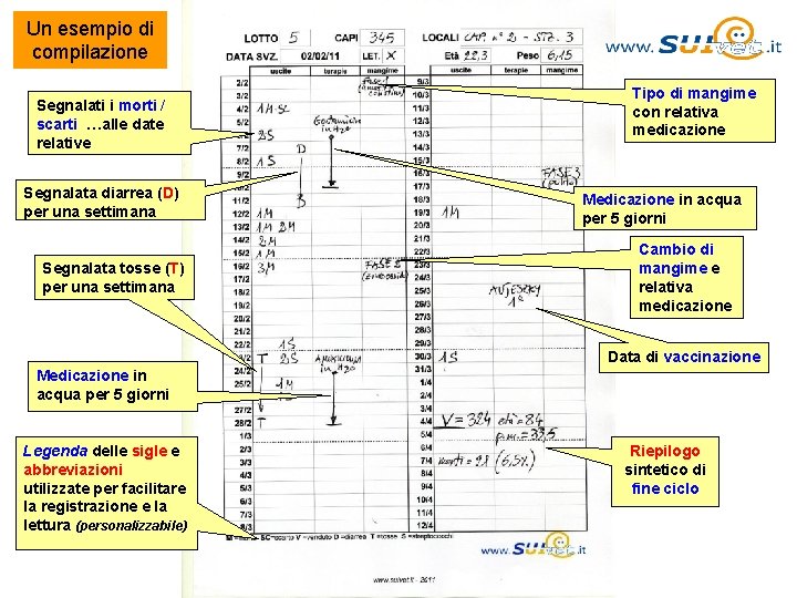 Un esempio di compilazione Segnalati i morti / scarti …alle date relative Segnalata diarrea