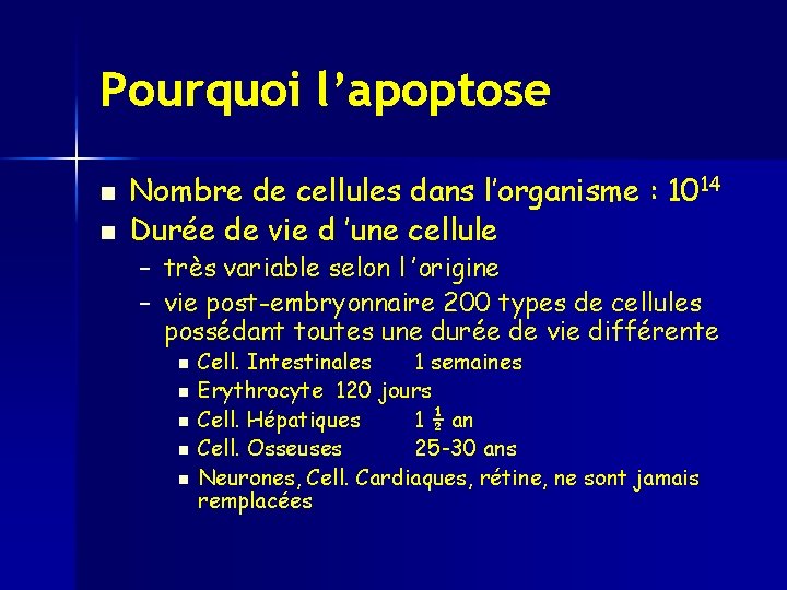 Pourquoi l’apoptose n n Nombre de cellules dans l’organisme : 1014 Durée de vie