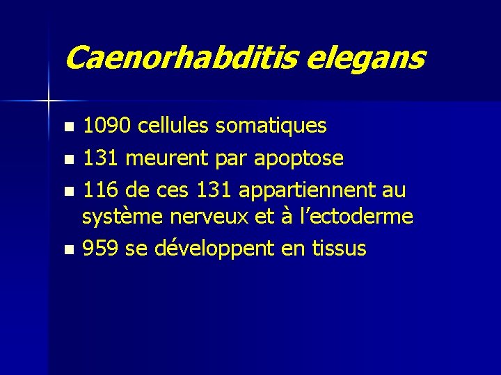 Caenorhabditis elegans 1090 cellules somatiques n 131 meurent par apoptose n 116 de ces