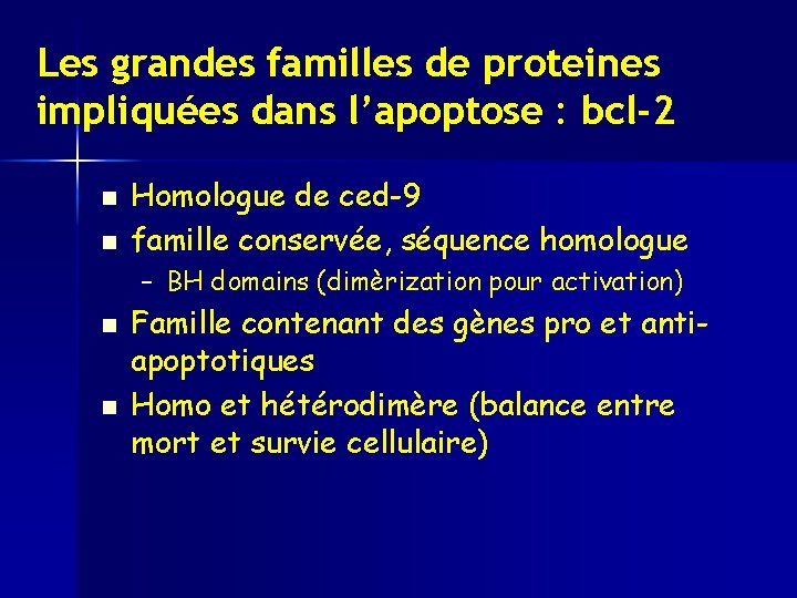 Les grandes familles de proteines impliquées dans l’apoptose : bcl-2 n n Homologue de