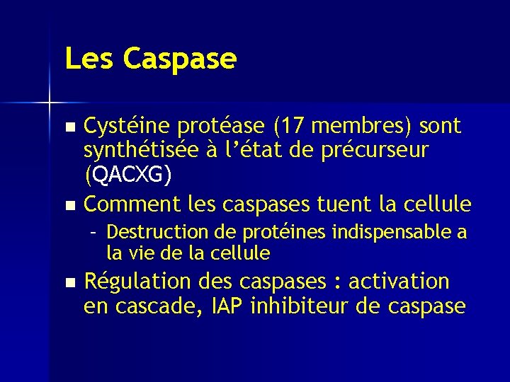 Les Caspase Cystéine protéase (17 membres) sont synthétisée à l’état de précurseur (QACXG) n