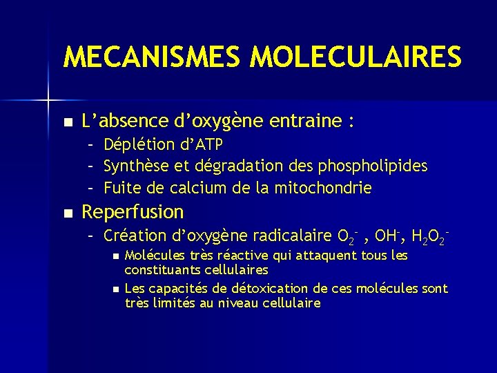 MECANISMES MOLECULAIRES n L’absence d’oxygène entraine : – – – n Déplétion d’ATP Synthèse