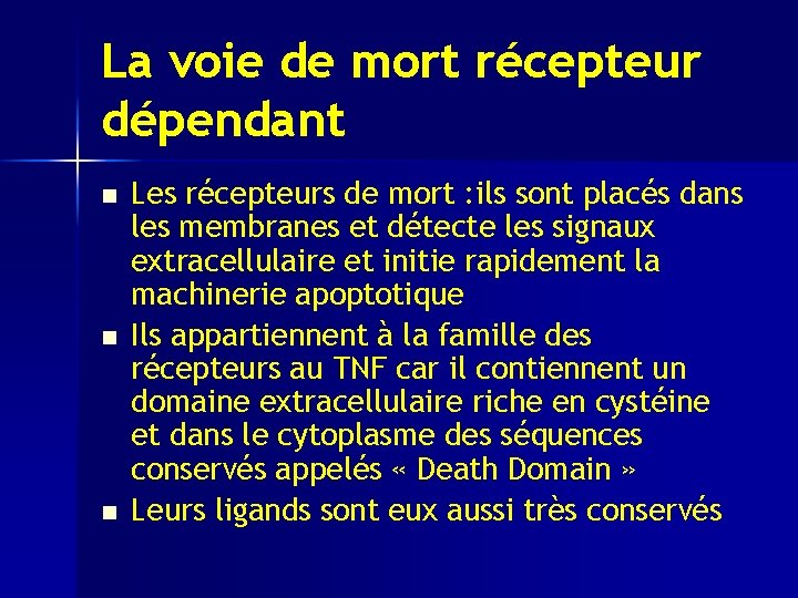 La voie de mort récepteur dépendant n n n Les récepteurs de mort :