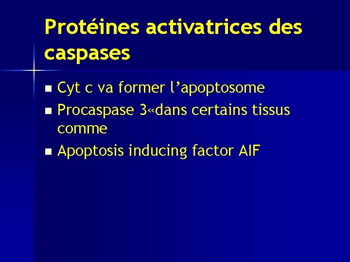 Protéines activatrices des caspases Cyt c va former l’apoptosome n Procaspase 3 «dans certains