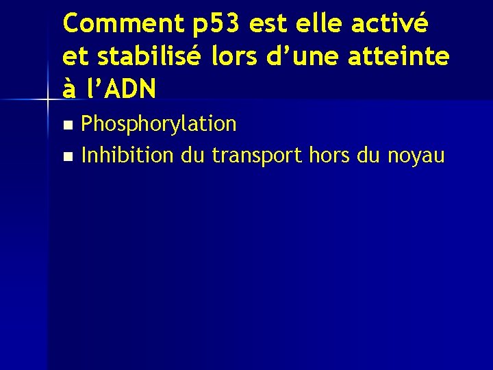 Comment p 53 est elle activé et stabilisé lors d’une atteinte à l’ADN Phosphorylation