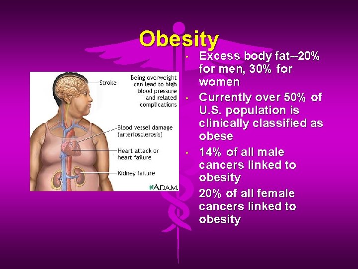 Obesity • • • Excess body fat--20% for men, 30% for women Currently over