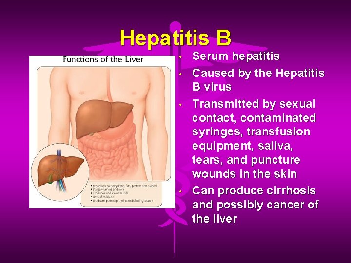 Hepatitis B • • Serum hepatitis Caused by the Hepatitis B virus Transmitted by