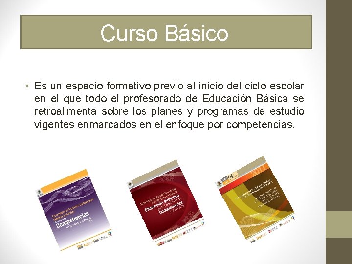 Curso Básico • Es un espacio formativo previo al inicio del ciclo escolar en