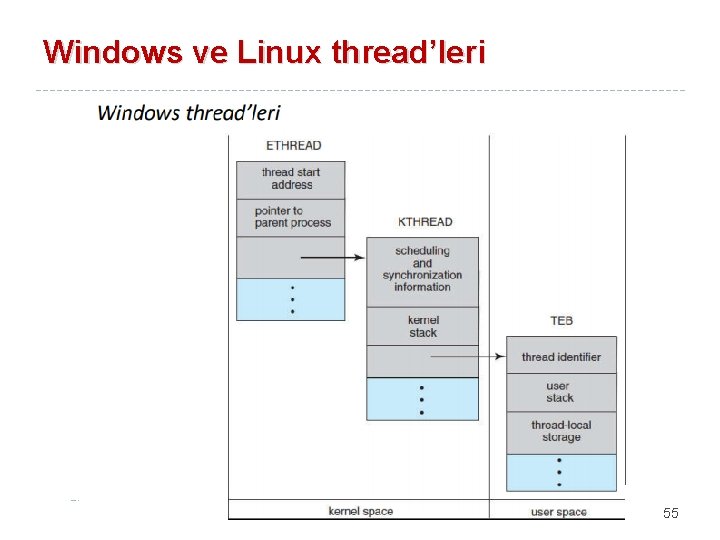 Windows ve Linux thread’leri 55 
