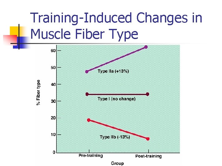 Training-Induced Changes in Muscle Fiber Type 