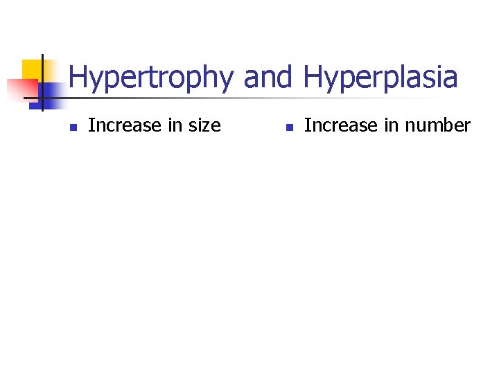 Hypertrophy and Hyperplasia n Increase in size n Increase in number 