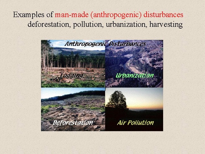 Examples of man-made (anthropogenic) disturbances deforestation, pollution, urbanization, harvesting 