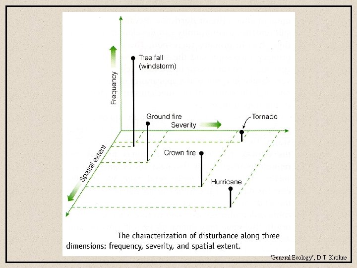 ‘General Ecology’, D. T. Krohne 