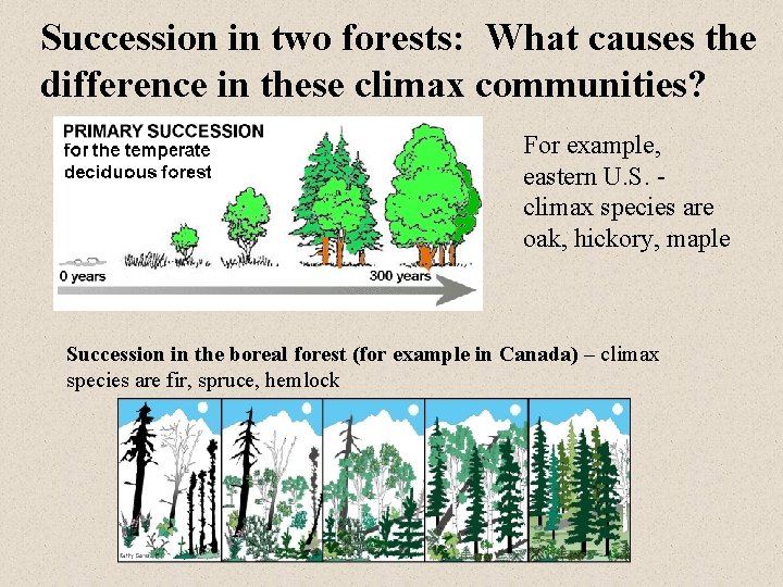 Succession in two forests: What causes the difference in these climax communities? For example,