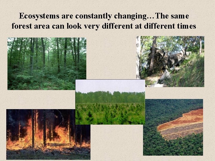 Ecosystems are constantly changing…The same forest area can look very different at different times