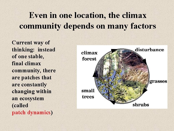 Even in one location, the climax community depends on many factors Current way of