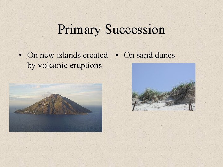 Primary Succession • On new islands created • On sand dunes by volcanic eruptions