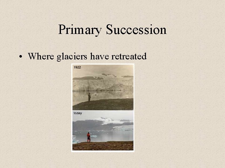 Primary Succession • Where glaciers have retreated 