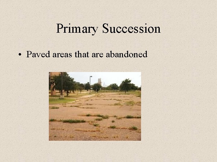 Primary Succession • Paved areas that are abandoned 