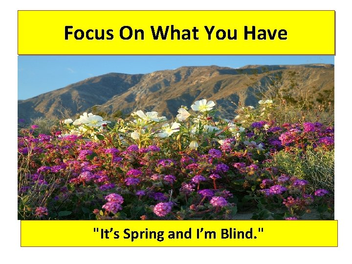 Focus On What You Have "It’s Spring and I’m Blind. " 