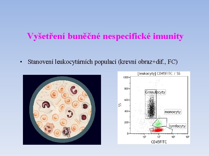 Vyšetření buněčné nespecifické imunity • Stanovení leukocytárních populací (krevní obraz+dif. , FC) 
