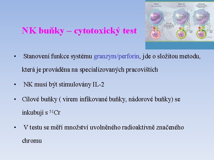 NK buňky – cytotoxický test • Stanovení funkce systému granzym/perforin, jde o složitou metodu,