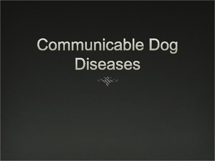 Communicable Dog Diseases 