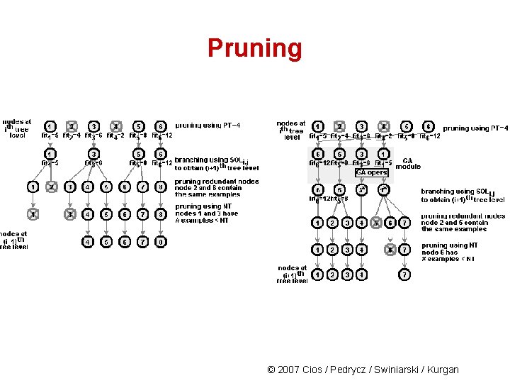 Pruning © 2007 Cios / Pedrycz / Swiniarski / Kurgan 