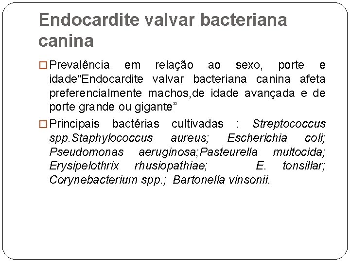 Endocardite valvar bacteriana canina � Prevalência em relação ao sexo, porte e idade“Endocardite valvar