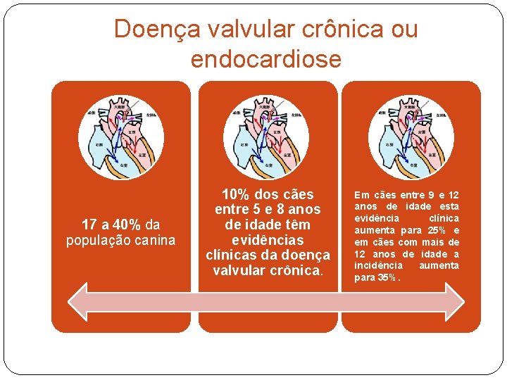 Doença valvular crônica ou endocardiose 17 a 40% da população canina 10% dos cães Doença valvular crônica ou endocardiose 17 a 40% da população canina 10% dos cães