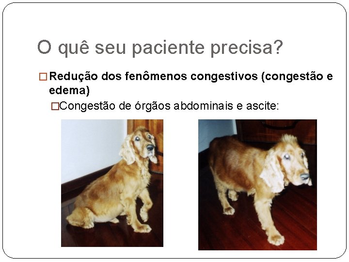 O quê seu paciente precisa? � Redução dos fenômenos congestivos (congestão e edema) �Congestão