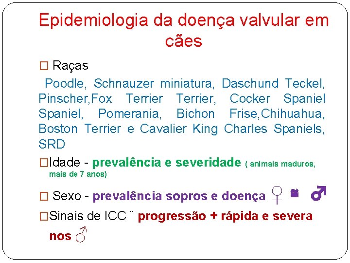 Epidemiologia da doença valvular em cães � Raças Poodle, Schnauzer miniatura, Daschund Teckel, Pinscher,