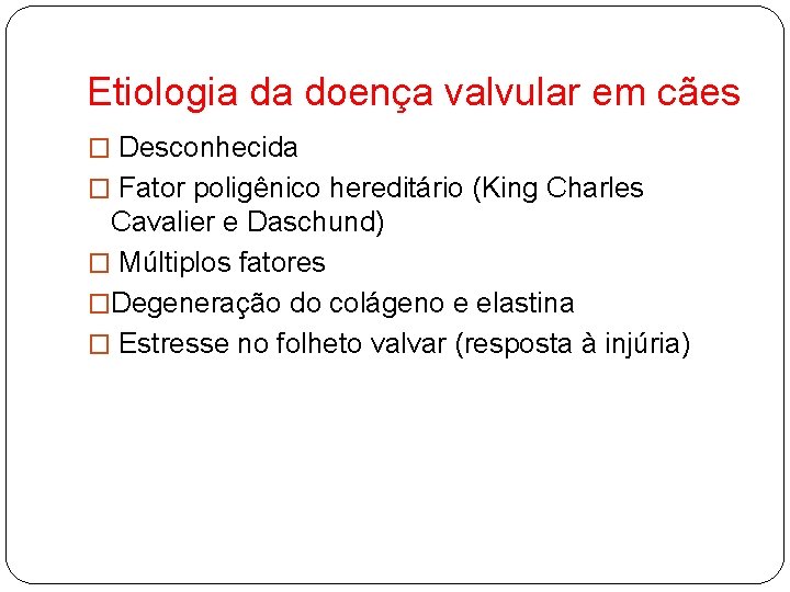 Etiologia da doença valvular em cães � Desconhecida � Fator poligênico hereditário (King Charles