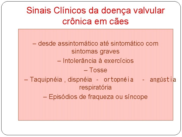 Sinais Clínicos da doença valvular crônica em cães – desde assintomático até sintomático com