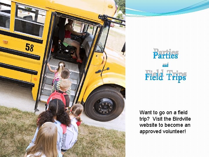 Parties and Field Trips Want to go on a field trip? Visit the Birdville