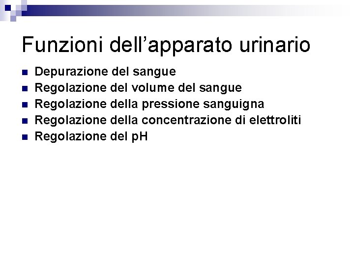 Funzioni dell’apparato urinario n n n Depurazione del sangue Regolazione del volume del sangue