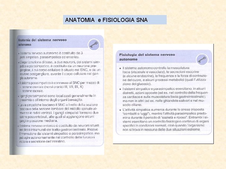 ANATOMIA e FISIOLOGIA SNA 