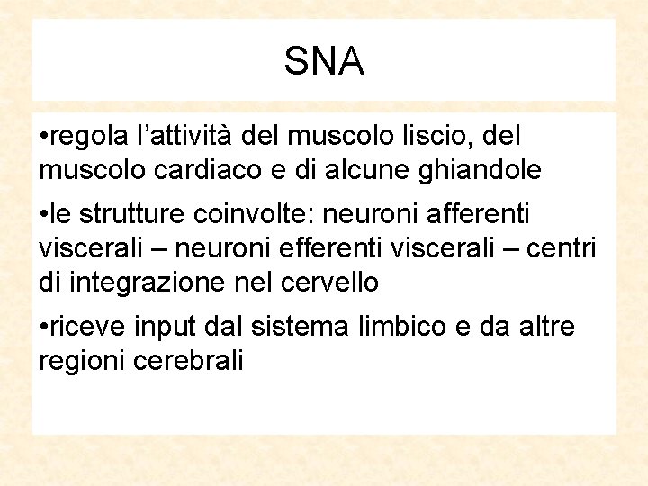 SNA • regola l’attività del muscolo liscio, del muscolo cardiaco e di alcune ghiandole