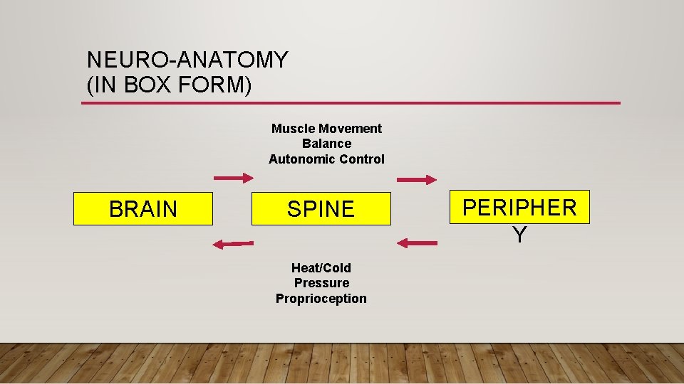 NEURO-ANATOMY (IN BOX FORM) Muscle Movement Balance Autonomic Control BRAIN SPINE Heat/Cold Pressure Proprioception