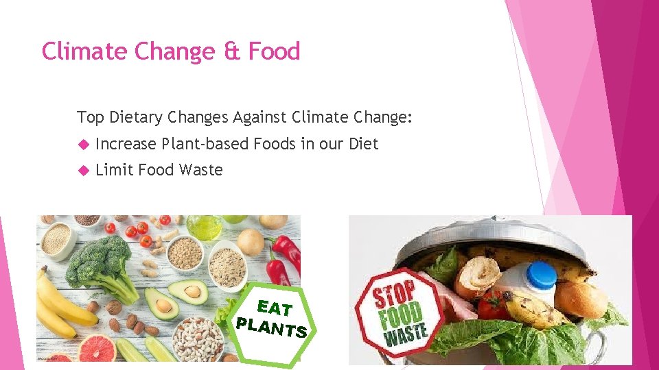 Climate Change & Food Top Dietary Changes Against Climate Change: Increase Plant-based Foods in