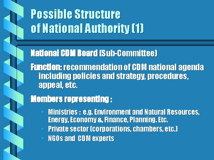 Possible Structure of National Authority (1) National CDM Board (Sub-Committee) Function: recommendation of CDM