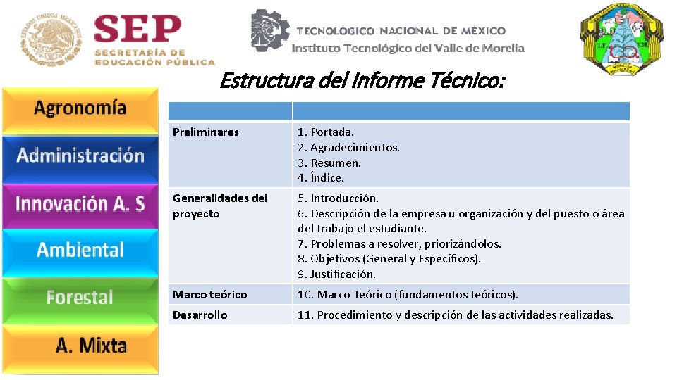 Estructura del Informe Técnico: Preliminares 1. Portada. 2. Agradecimientos. 3. Resumen. 4. Índice. Generalidades